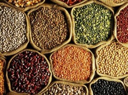 アーユルヴェーダインド料理-豆料理完全マスターワークショップ