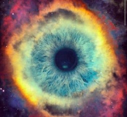 アーユルヴェーダの身体観