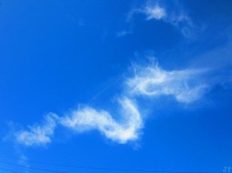 正しい手段を選ぶこと。素直に聞くこと。