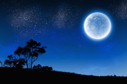 第三弾 Benefit For You アーユルヴェーダリトリート2017年9月29日〜10月1日