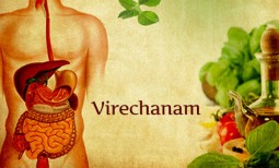 2018年夏　南インド アーユルヴェーダリトリート　Part ５