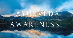 アーユルヴェーダアウェアネスティーチャートレーニングコース