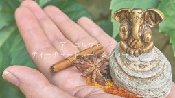 アーユルヴェーダティーチャートレーニングコース