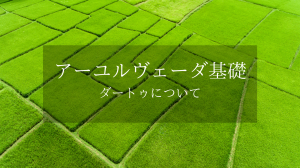 アーユルヴェーダ基礎［ダートゥについて］