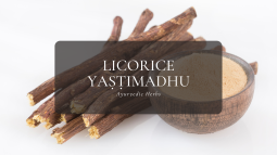 Ayurvedic Herbs ③ リコリス-ヤシュティマドゥ
