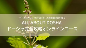アーユルヴェーダセラピストのためのAll About Dosha〜ドーシャ完全攻略オンラインクラス　