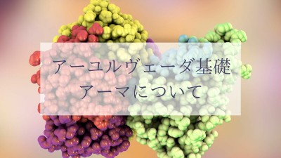 アーユルヴェーダ基礎［アーマについて］