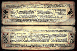 2014年VAFアーユルヴェーダ研修記①