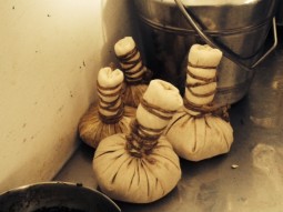 2014年VAFアーユルヴェーダ研修記②