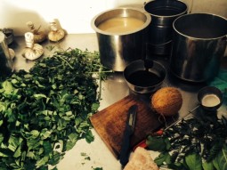 2014年VAFアーユルヴェーダ研修記④